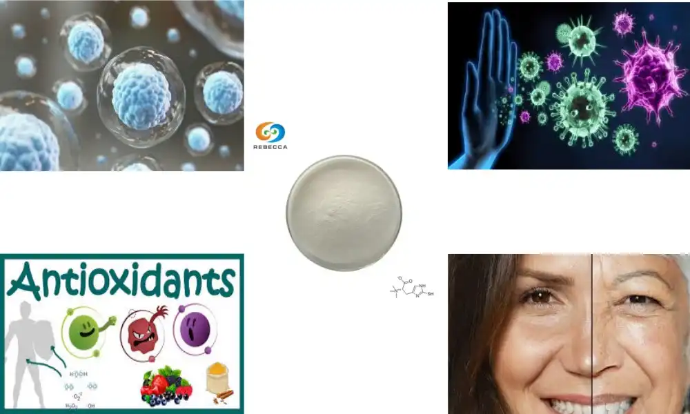 Strengthen Your Immune System with L-Ergothioneine Powder